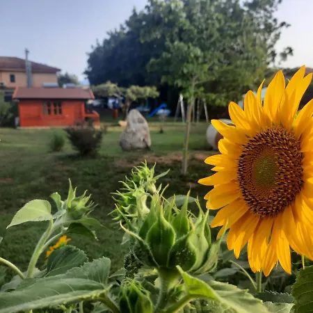 Il Tiglio 4*