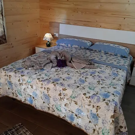 Il Tiglio Bed and breakfast