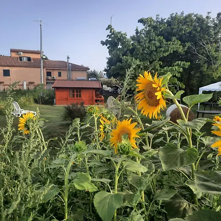 Bed and breakfast Il Tiglio