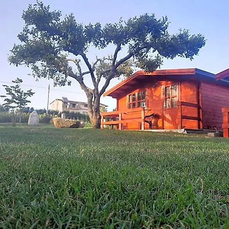 Bed and Breakfast Il Tiglio Spilinga