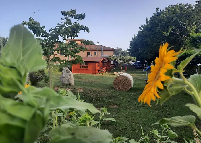 Il Tiglio לינה וארוחת בוקר